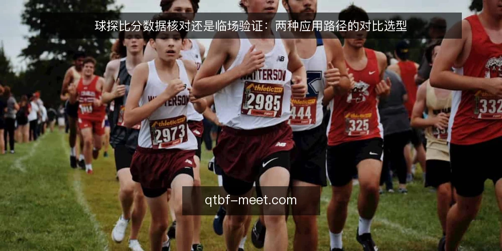 球探比分数据核对还是临场验证:两种应用路径的对比选型 — 先明确决策标准:数据时效、场景匹配与操作成本 配图